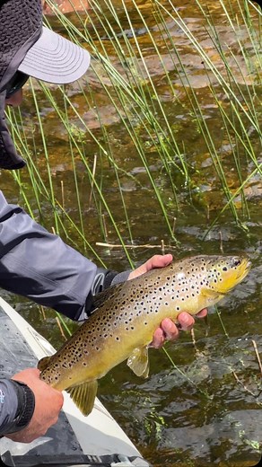 This is Patagonia 😍 #flyfishing | Chile Fly Fishing
