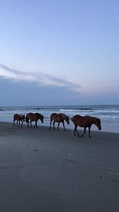 We ❤️ evening walks on the beach! | The Northern Outer Banks