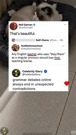 Grammar Debates Highlight Evolving Language Rules Online