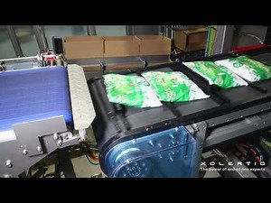 Top-Load Case Packer for Frozen Food | High-Speed & Flexible