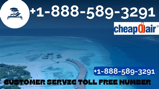 How to Contact CheapOair® Official ⨠ Customer Service Complete Guide to Live Chat, Email & Call