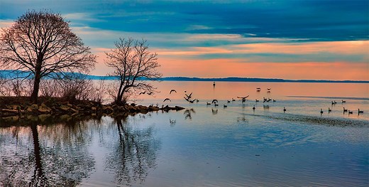 The History of Chesapeake Bay Cleanup Efforts • Chesapeake Bay Foundation