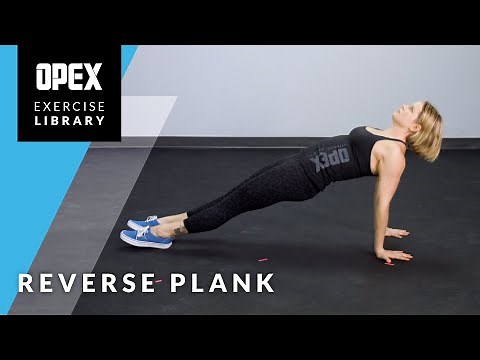 Reverse Plank - OPEX Exercise Library