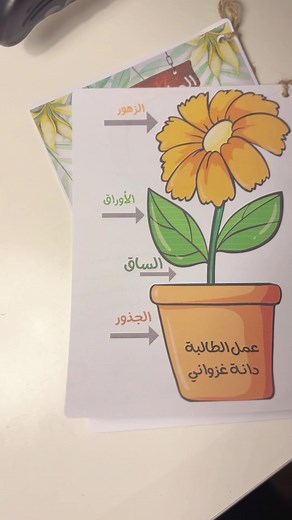 مطوية علوم للصف الثالث الابتدائي - اجزاء النبات و المخلوقات الحية