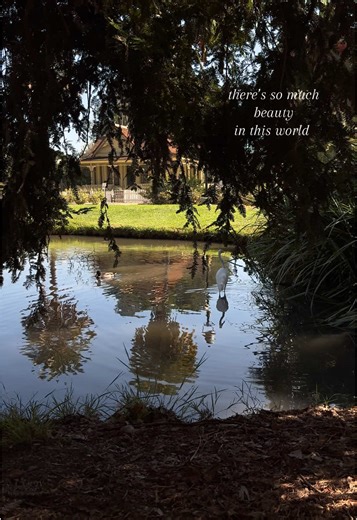 Embrace Nature: Your Sign to Explore the Outdoors