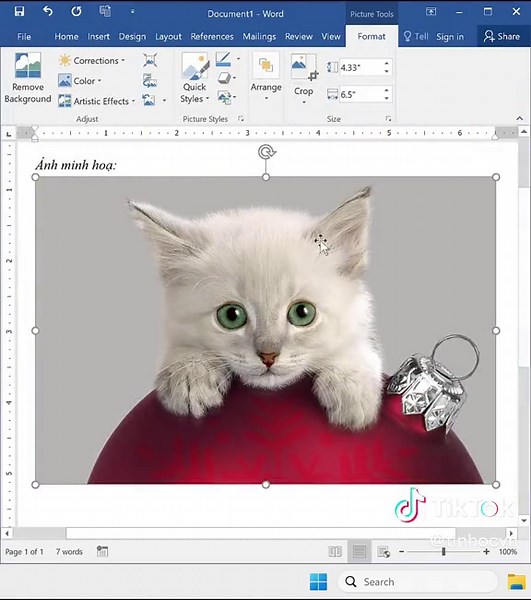 Hướng dẫn tách nền cho ảnh trong Word siêu đơn giản