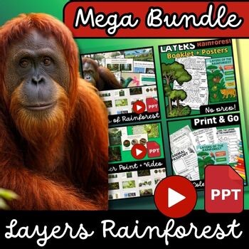 Rainforest Layers Science : PowerPoint, Video, Posters, Worksheets | Grades 3–5