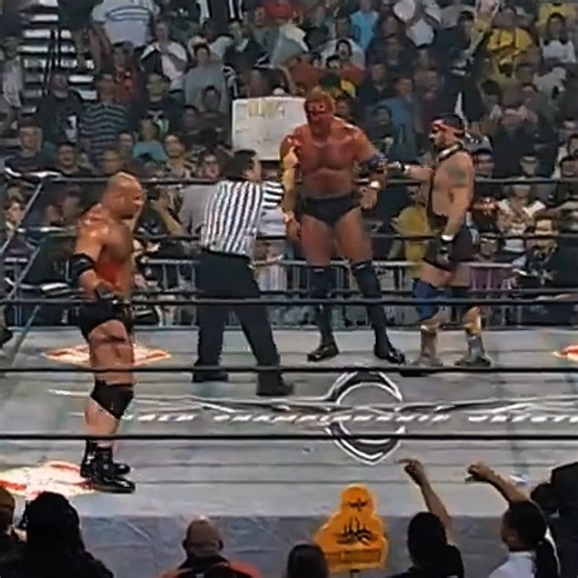 Goldberg vs Sid Vicious | Meaning/Vibe