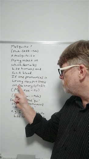 Do you Mispronounce the Word Mosquito? Many Do - English Tutor Nick P
