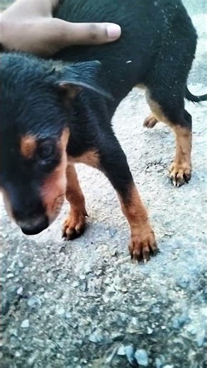 Another cutie pie friend with little moments