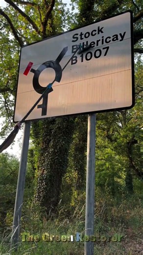 Scraping | Blowing | Cleaning | Pressure Washing | Cutting | Raking #shorts #satisfying #gardening