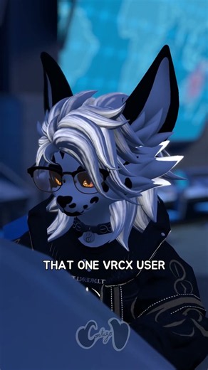 VRCX be like