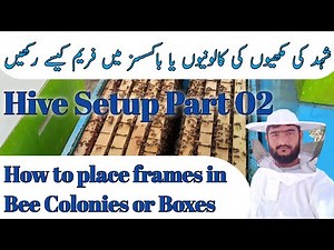 Hive Setup Part 02 | How to place frames in Bee Colonies or Boxes | Beekeeping
