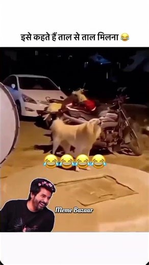 Dogesh bhai ❎Singer✅😂 | Dogesh singer hi kehde #memes #shorts
