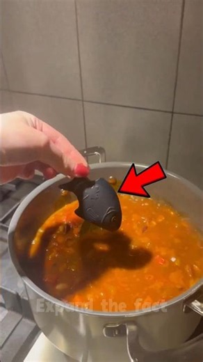Why Cook with Iron Fish?