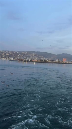 Saliendo a isla guadalupe | El Compa Meño
