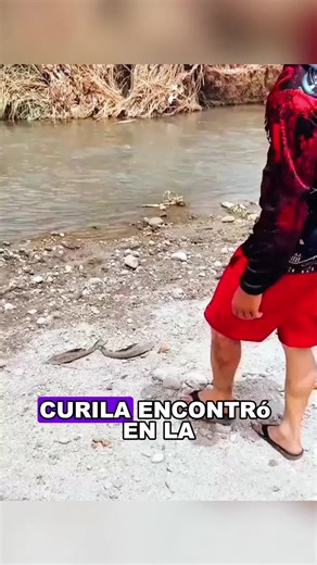 Have you ever seen a fish with such strong vitality?#animals #Foryou #Friendship #Us #fyp #fishing #fish