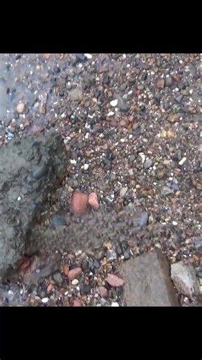 Mudlarking in London: Found a Hitler Youth Relic?!