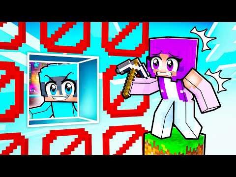 I Pranked My Friends with a FAKE One Block - Minecraft
