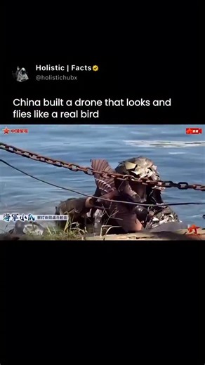 Holistic | Facts on Instagram: "China is testing a biomimetic drone designed to look and move like a real bird. Instead of spinning rotors, the wings flap and glide, closely mimicking natural flight. From the ground, the motion blends in with wildlite, making it difficult to distinguish from an actual bird in the sky. Footage appears to show the drone being deployed during a coastal exercise, where it can perch, skim the surface, and change direction with subtle movements that resemble real anim