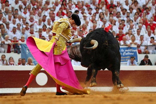 Toros. En vidéo et en deux minutes, comprendre ce qu’est un toro de lidia