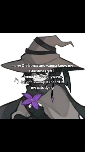 I found this out on Christmas day and she was my cat ever since I was 5 #vent#death#cat#relatable#fypシ゚viral
