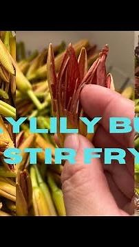 Daylily buds stir fry recipe Nutritious Wild Edible Flowers | FullHappyBelly
