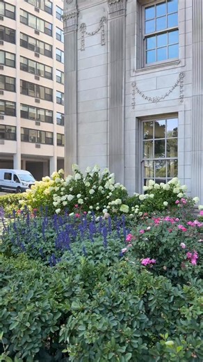 28 reactions | Just a few blocks from the busy shopping area of Chicago I found some homes with the most inviting gardens and facades. You could even hear | Building Utah | Facebook