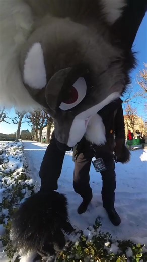 Trolling with Snowballs: Hilarious Winter Fun