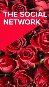 It's STD Friday! The Social Network