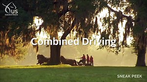 6K views · 113 reactions | Did you know that combined driving has three phases similar to eventing? Learn about this exciting sport in our Learning Center video with USA Combined Driving athlete Misdee Wrigley Miller of Hillcroft Farm Watch the full video: https://www.usef.org/learning-center/videos/combined-driving Use promo code LEARN18 to get a gree fan membership to watch! | US Equestrian | Facebook