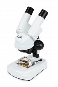 Celestron Labs S20A Angled Stereo Microscope - 44137