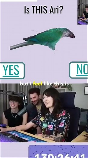 Jaiden Animations the mystery of ari