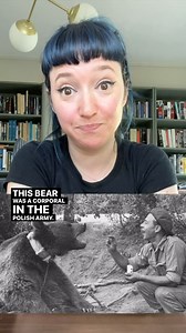 I know there’ve been movies and (mostly) kids books about Wojtek, but I love this story so much! I was reminded of this on stream the other day and had to make a quick video about it! Also, I stream, pop by and say hi some time! #author #history #wwii | Amy Shira Teitel
