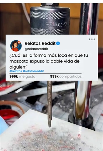 Parte 2 en el Perfil - ¿Cuál es la forma más loca en que tu mascota expuso la doble vida de alguien? #reddit #redditstories #redditespañol #español #historiasreales