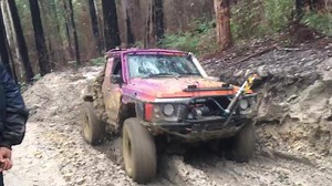 125K views · 2.2K reactions | Can't go wrong with Pitbull tyres.... and a V8  Turn the sound on for this one!  | Road Runner Offroad | Facebook