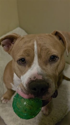 Dmkdavis (@dmkdavis2)’s videos with original sound - Dmkdavis