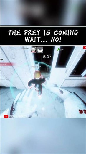 PETAPETA: School of Nightmares - THE PREY IS COMING~ WAIT...NO!😭