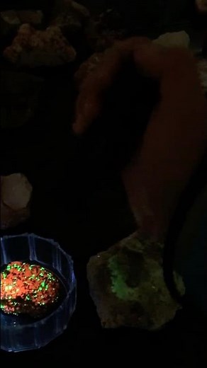 Long Wave vs Short wave (UV response with Willemite-Calcite)