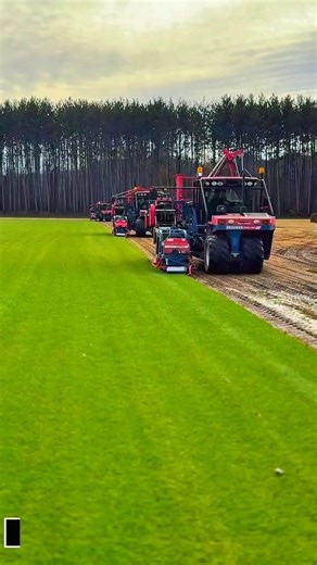 Turf Harvesting Guide