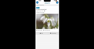 Download and run Freezing Food on PC & Mac (Emulator)