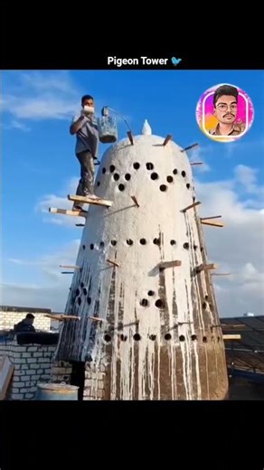 Pigeon Tower 🐦 Built By Farmers 😱 | #shorts