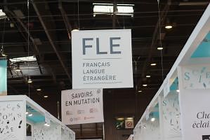 Les articles définis (FLE)