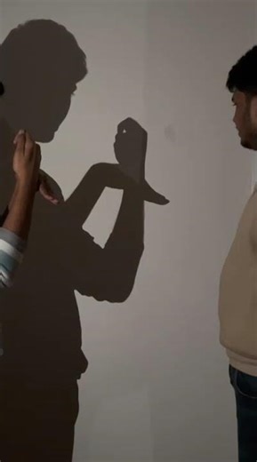 Shadow Puppet Bird #shadow #art