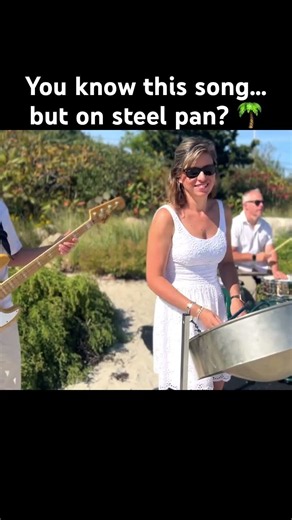 Wild World on Steel Drums 🌴 #shorts