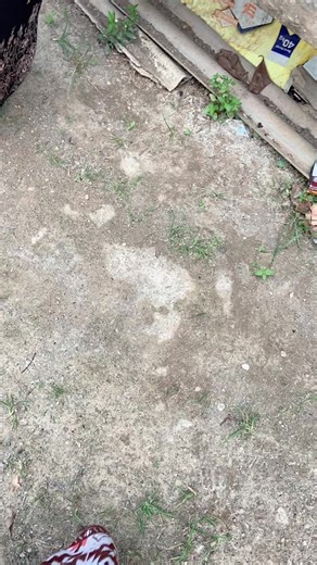 IG:this is iin (@iinlahh)’s videos with suara asli - IG:this is iin