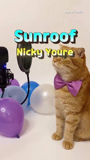 TikTok의 베니패밀리 Benny Family