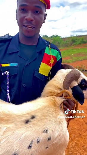 Bonne fête 🐑 mes soldats