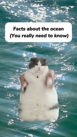 Facts About the ocean You really need to know | Simply Stated History