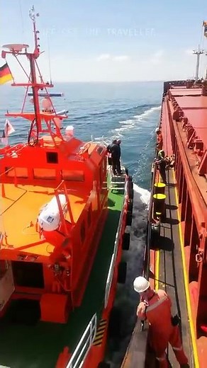 VERY PROFESSIONAL PILOT